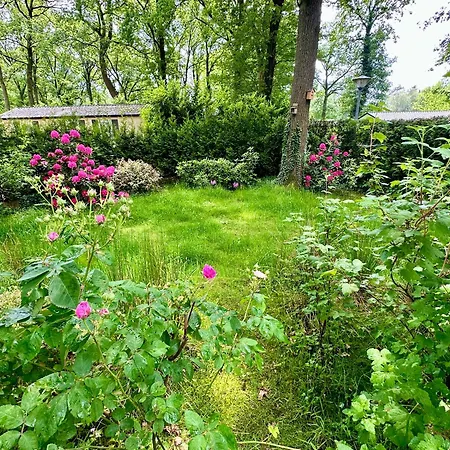 Chalet Veluwe Wageningen
