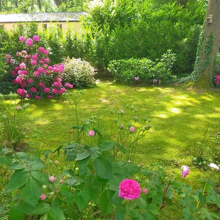 Chalet Veluwe *