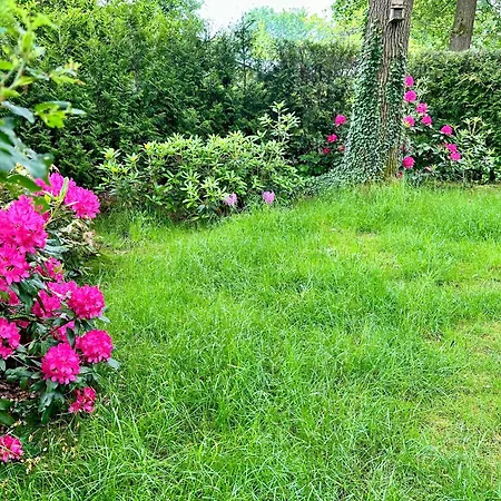 Veluwe Wageningen