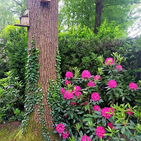Veluwe Chalet Wageningen