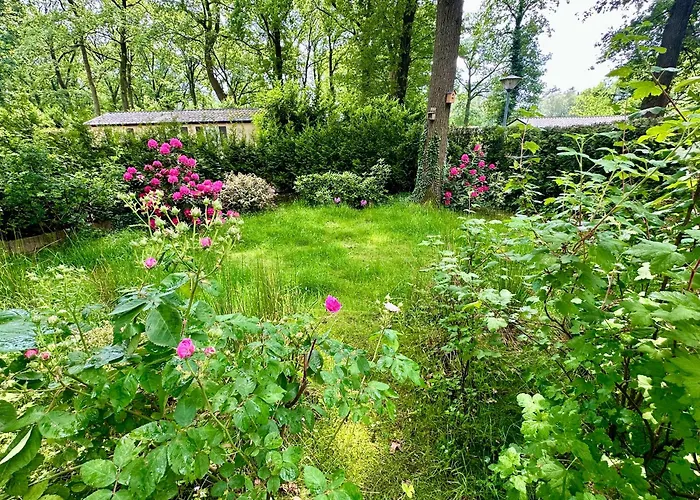 Chalet Veluwe Wageningen