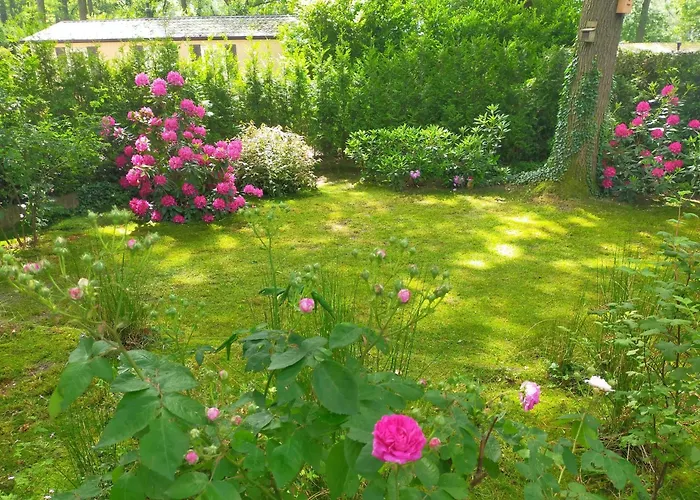 Alpesi faház Veluwe *